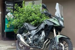 f0f41198-aac5-4036-b174-b84e731e180a